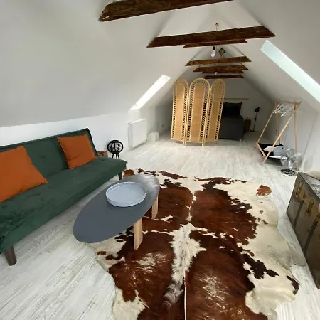 Dock House Badeni (Cluj)